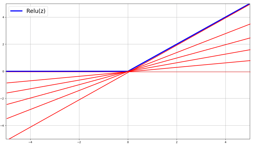 sub-gradients of relu