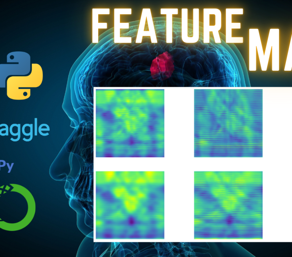 feature_maps